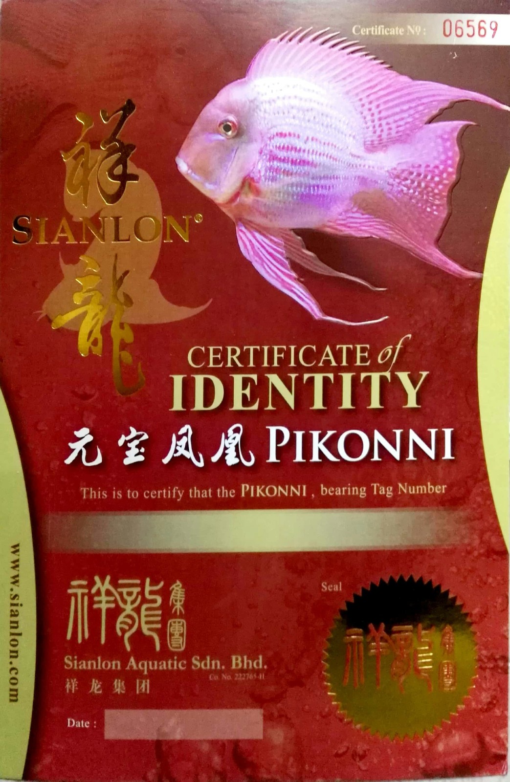 Koricky CERTIFICATE of DENTITY  PIKONNI